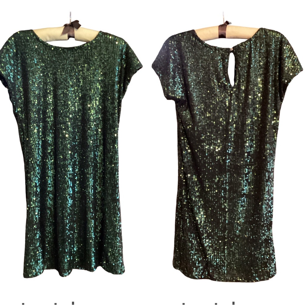 🦌 NWT Green Sequin Dress Size M